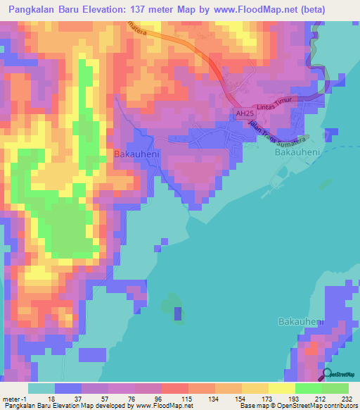 Pangkalan Baru,Indonesia Elevation Map