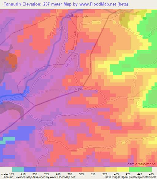 Tannurin,Syria Elevation Map