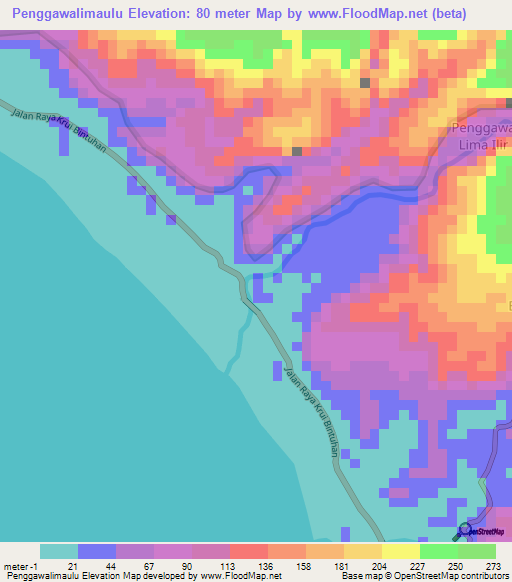 Penggawalimaulu,Indonesia Elevation Map