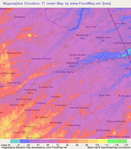 Negaraajitua,Indonesia Elevation Map