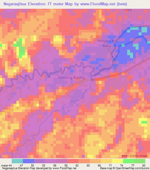 Negaraajitua,Indonesia Elevation Map