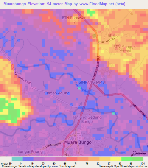 Muarabungo,Indonesia Elevation Map