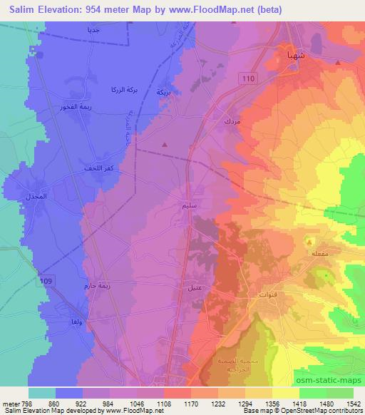 Salim,Syria Elevation Map