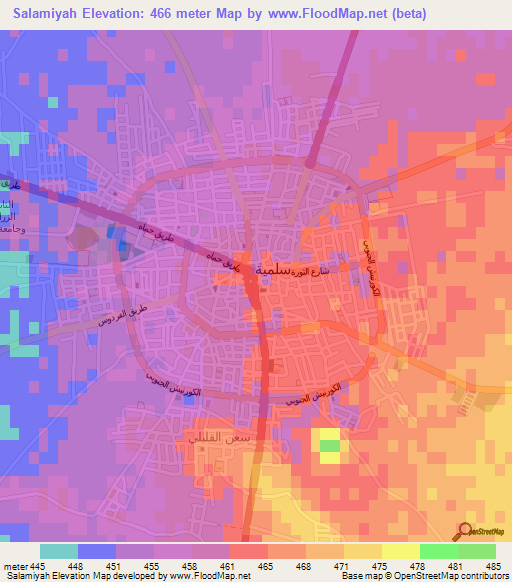 Salamiyah,Syria Elevation Map