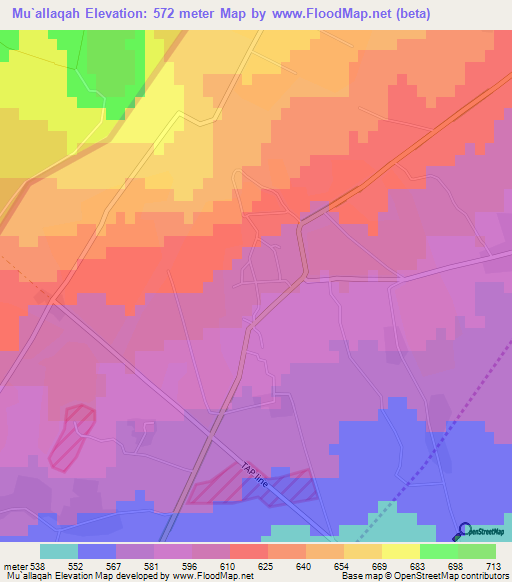 Mu`allaqah,Syria Elevation Map