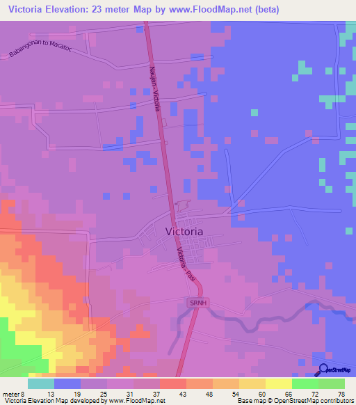 Victoria,Philippines Elevation Map