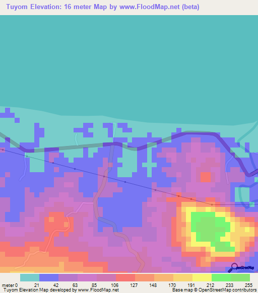 Tuyom,Philippines Elevation Map