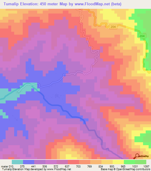 Tumalip,Philippines Elevation Map