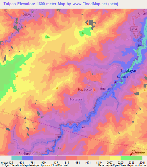 Tulgao,Philippines Elevation Map
