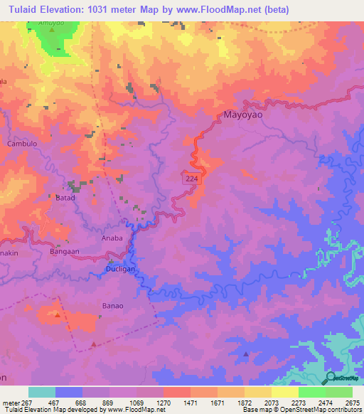 Tulaid,Philippines Elevation Map