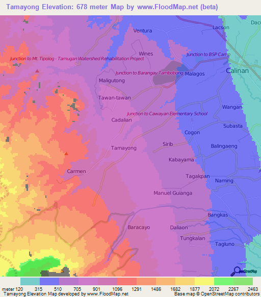 Tamayong,Philippines Elevation Map