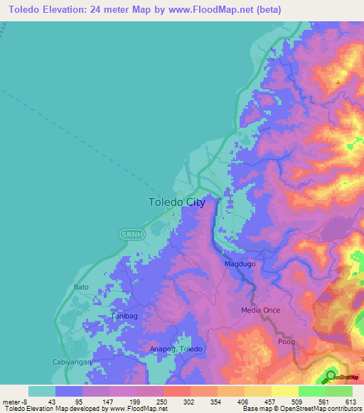Toledo,Philippines Elevation Map