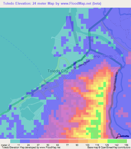 Toledo,Philippines Elevation Map