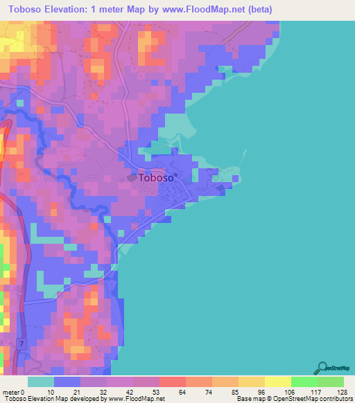 Toboso,Philippines Elevation Map