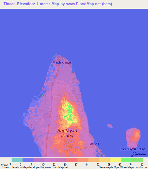Tinaan,Philippines Elevation Map