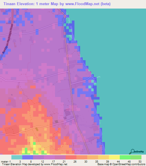 Tinaan,Philippines Elevation Map