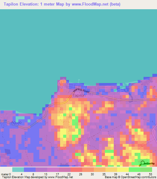 Tapilon,Philippines Elevation Map