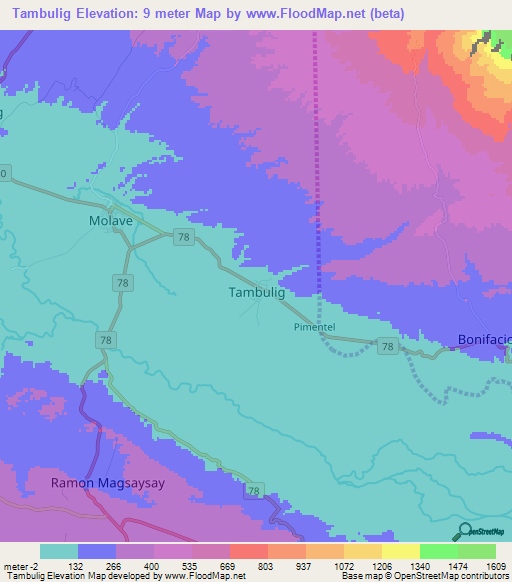 Tambulig,Philippines Elevation Map