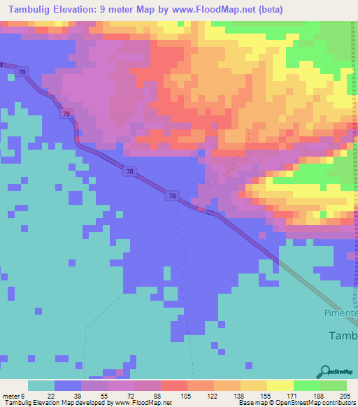Tambulig,Philippines Elevation Map