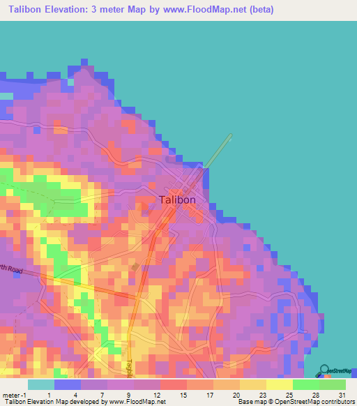 Talibon,Philippines Elevation Map