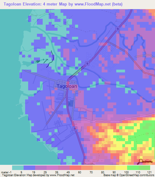 Tagoloan,Philippines Elevation Map