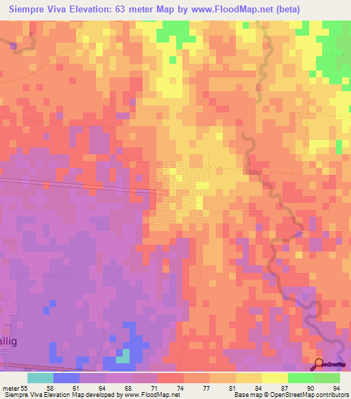 Siempre Viva,Philippines Elevation Map