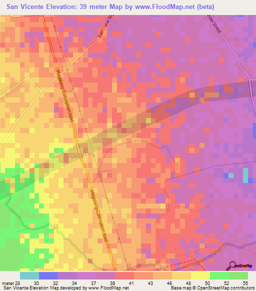 San Vicente,Philippines Elevation Map