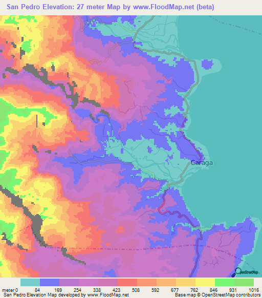 San Pedro,Philippines Elevation Map