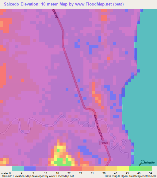 Salcedo,Philippines Elevation Map