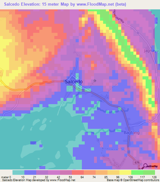Salcedo,Philippines Elevation Map