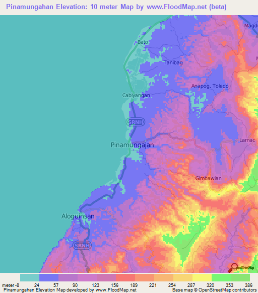Pinamungahan,Philippines Elevation Map