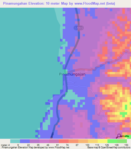 Pinamungahan,Philippines Elevation Map