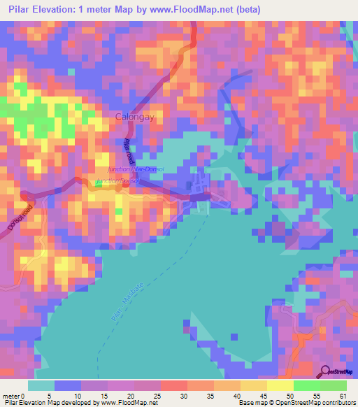 Pilar,Philippines Elevation Map