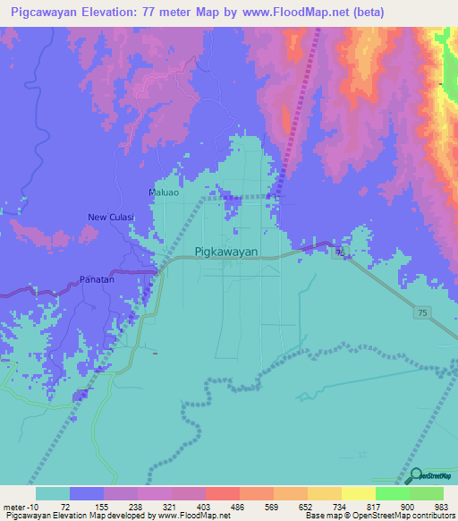 Pigcawayan,Philippines Elevation Map
