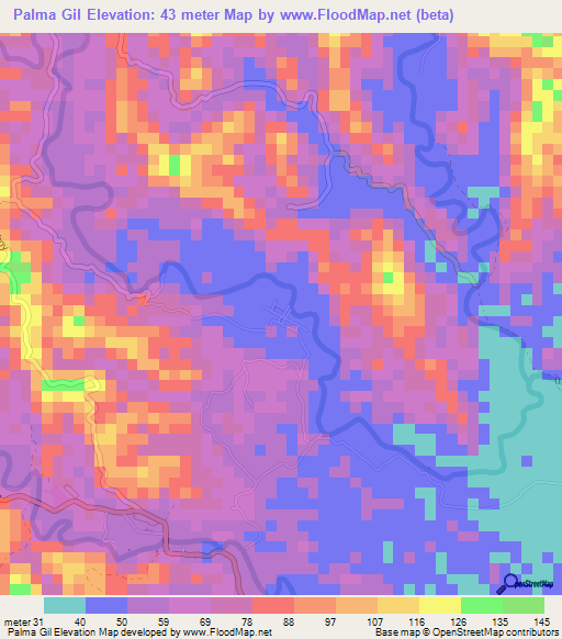 Palma Gil,Philippines Elevation Map