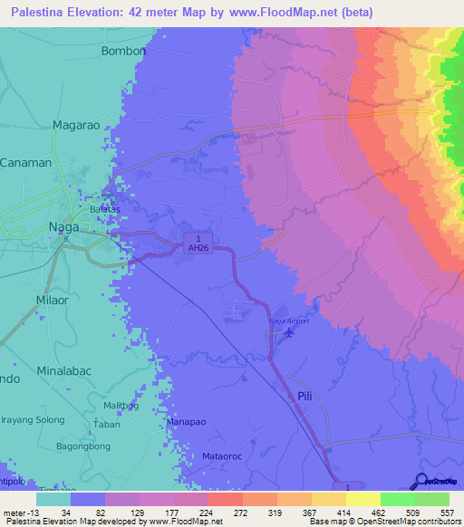 Palestina,Philippines Elevation Map