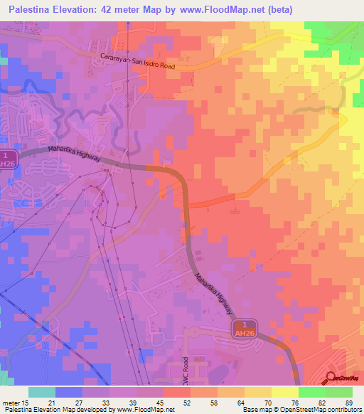 Palestina,Philippines Elevation Map