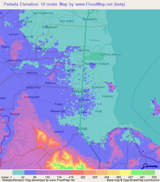 Padada,Philippines Elevation Map