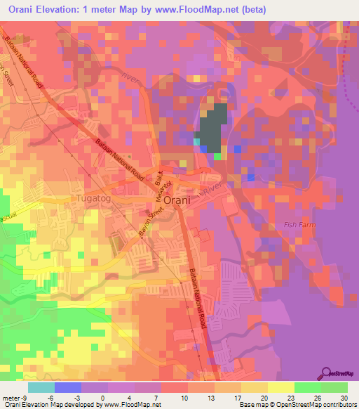 Orani,Philippines Elevation Map