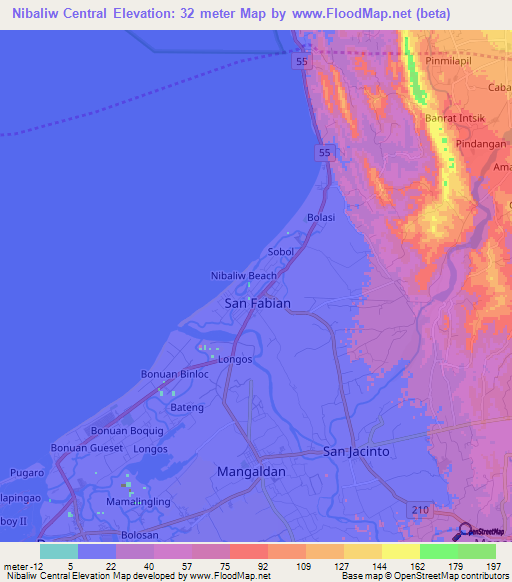 Nibaliw Central,Philippines Elevation Map