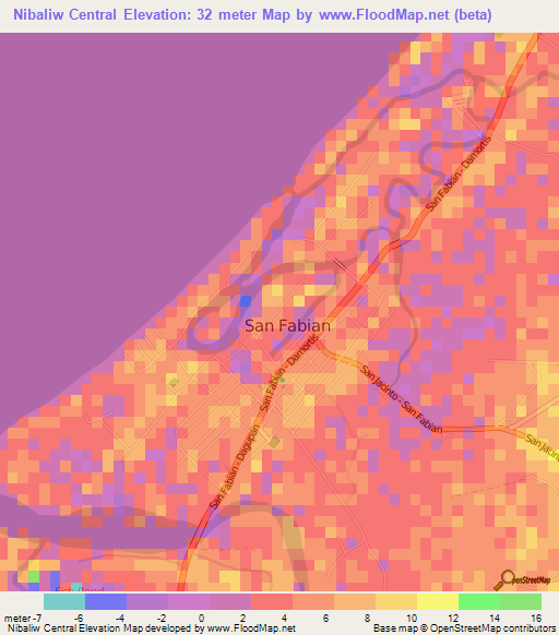 Nibaliw Central,Philippines Elevation Map
