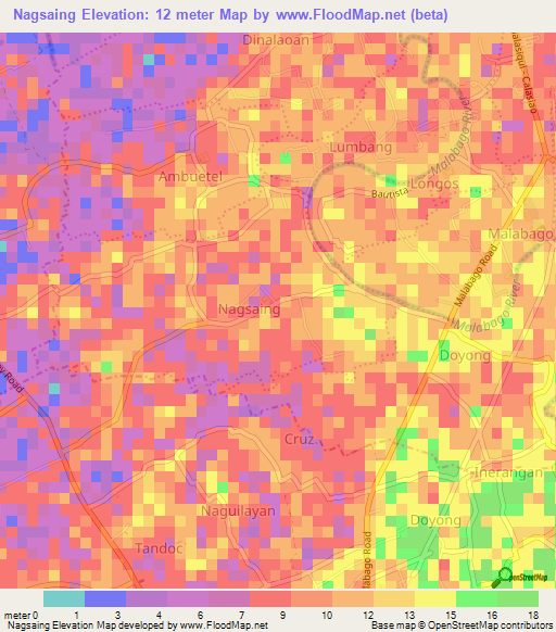 Nagsaing,Philippines Elevation Map