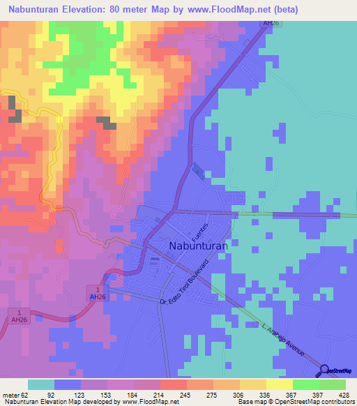 Nabunturan,Philippines Elevation Map