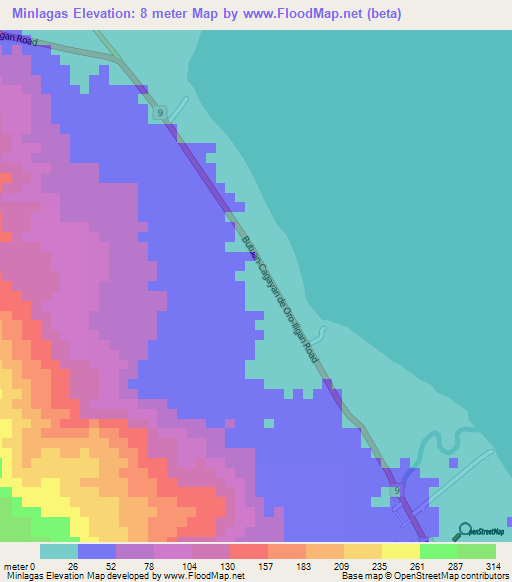 Minlagas,Philippines Elevation Map