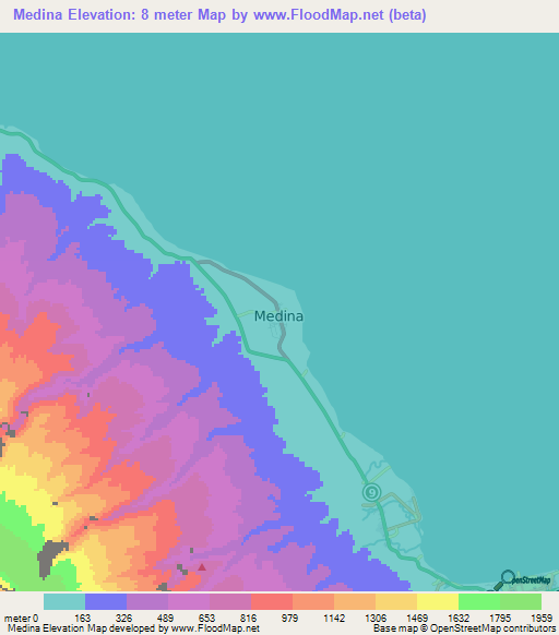 Medina,Philippines Elevation Map