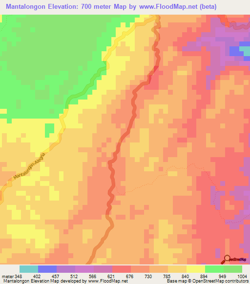 Mantalongon,Philippines Elevation Map
