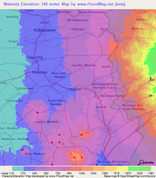 Malasila,Philippines Elevation Map