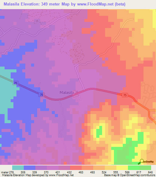 Malasila,Philippines Elevation Map