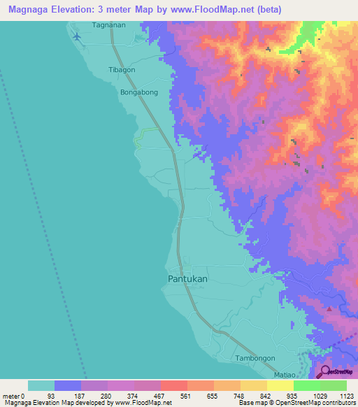 Magnaga,Philippines Elevation Map