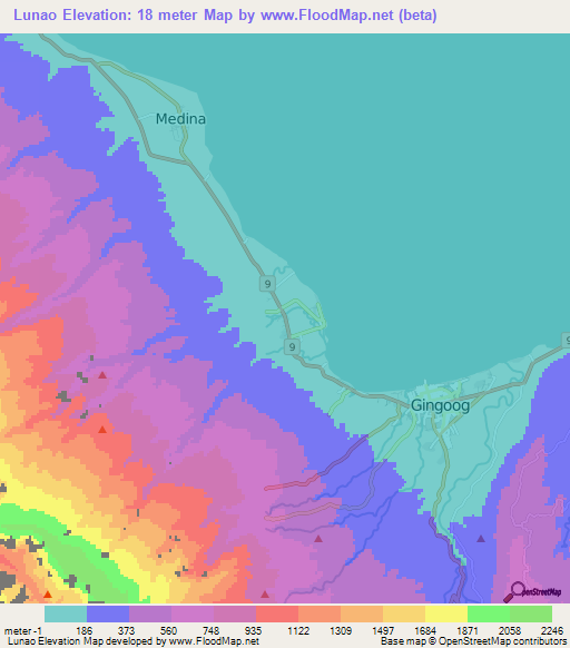 Lunao,Philippines Elevation Map